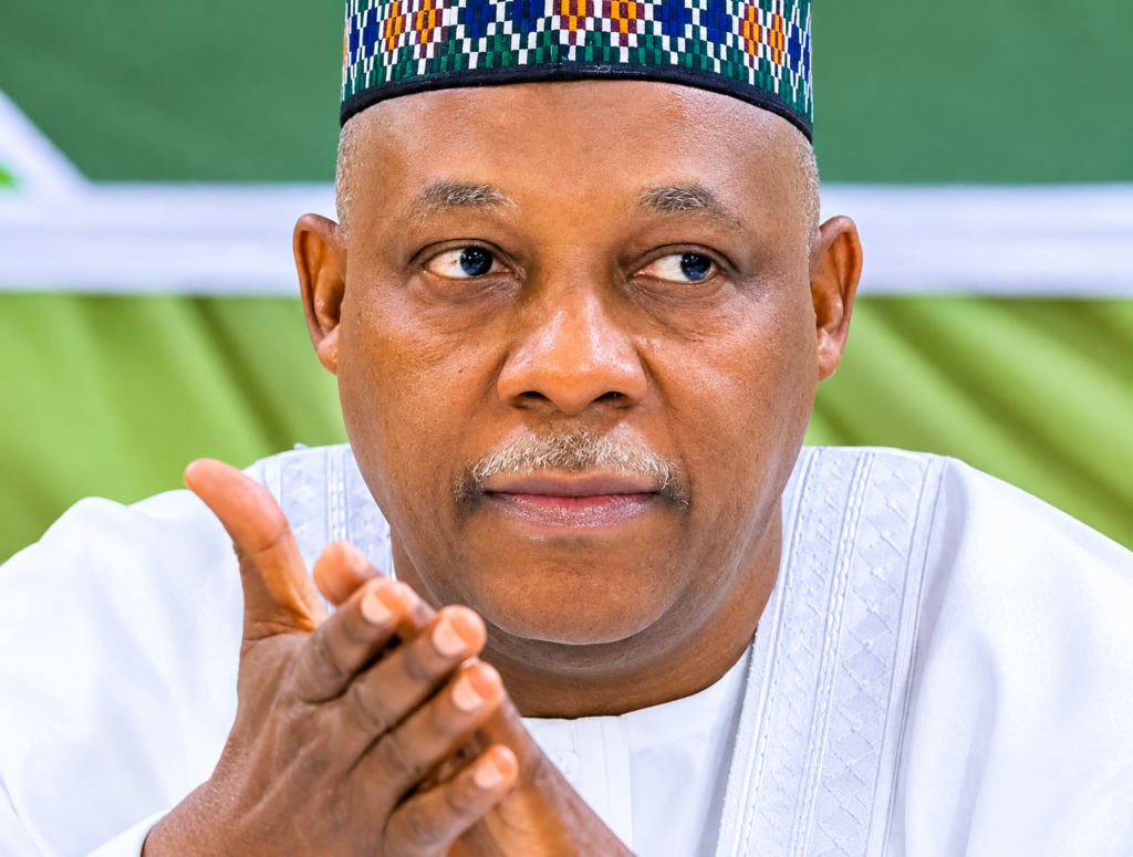 BRICS summit: VP Shettima hails Nigerian diaspora’s global contributions